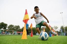 2025 赛季回顾：小格雷罗单季 48 轰的表现，助蓝鸟队在季后赛中一路杀至美联决赛