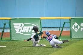 MLB公布年度最佳防守数据